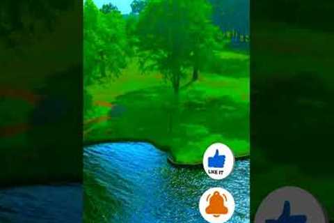 Real Estate Drone Footage