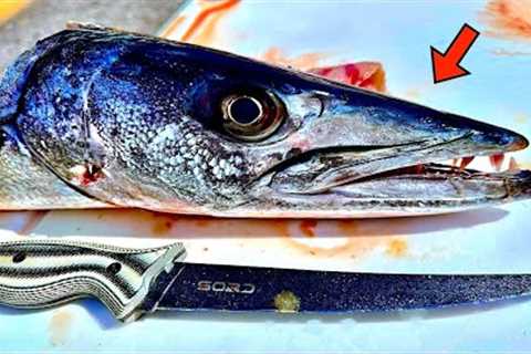 Catching and Cooking a WILD BARRACUDA from 300' DEEP!! *EPIC RESULTS*
