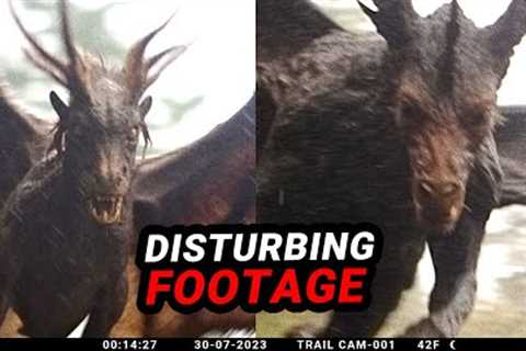 Exposing the Most Astonishing Trail Cam Footage Ever Seen