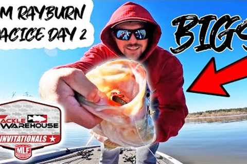 Finding BIG BASS Fishing SAM RAYBURN Lake For $80,000!! (Practice Day 2)