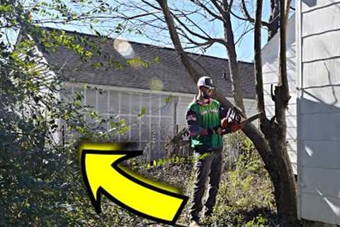 Nightmare Yard With Unexpected HELP