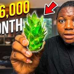Earn ₦140,000 Naira (💰$96.00) Monthly With This Surprising Side Hustle : Make Money Online In 2024