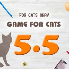 【CAT GAMES】MIX5.5 Rope,Mouse,etc.30min.