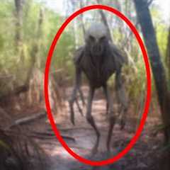 Disturbing Trail Cam Footage That Went Viral Overnight