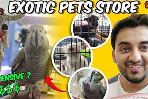 Exotic Pets Store in Hyderabad || Aamer's Den