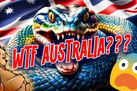 HORROR AUSSIE SNAKE ENCOUNTERS!
