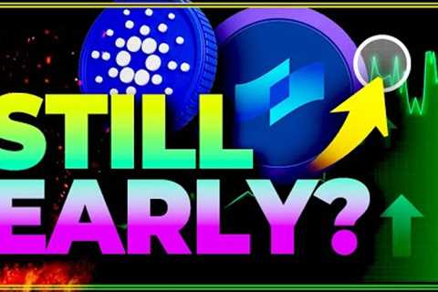 COTI's Latest Crypto Updates Unveiled