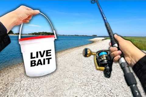 Eating Whatever I Catch.. Fishing an ISLAND! (Catch and Cook)