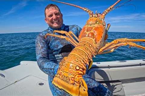 The Biggest Lobster I've EVER SEEN! {Catch Clean Cook} Whole Roasted Lobster