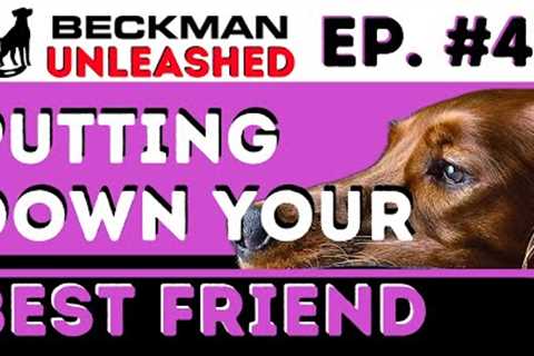 Letting Go - When is it ever okay to euthanize a dog?
