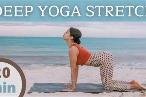 DEEP YOGA STRETCH | For Everyone