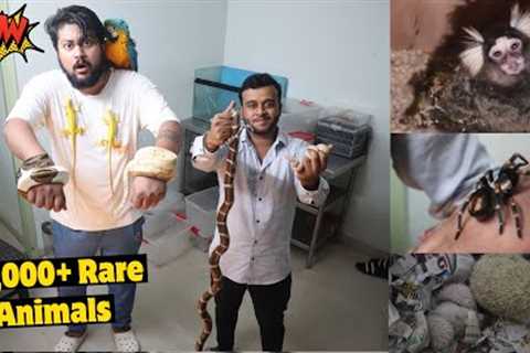 I MET WITH THE Indoriya EXOTIC PET KING😱😍 - Iguana, Snakes, Big Spider, Monkey Etc.