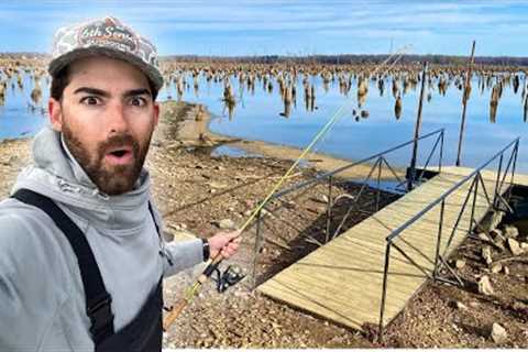 Eating WHATEVER I Catch From The BANK of the DRAINING LAKE! --CATCH &amp; COOK Whole Fried Fish!