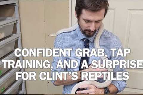 CLINT'S REPTILES visits, we demonstrate confident grab, tap training, and more!  @ClintsReptiles
