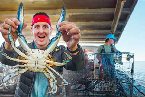How Maryland Crabbers Trap Edible Gold!!
