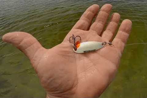 Easy Way To Catch Loads Of Saltwater Fish