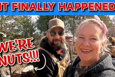 WHAT DID WE DO? tiny house, homesteading, cabin build, DIY HOW TO sawmill tractor tiny cabin