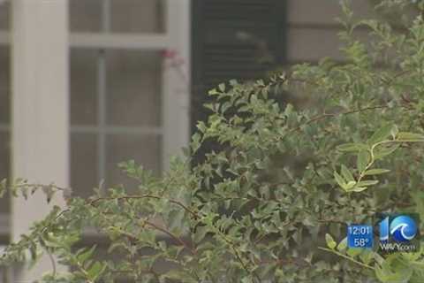 Charges against bail bondsman thrown out in court