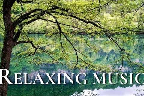 Relaxing Music Helps Reduce Stress And Anxiety 🍀 Sleep Music, Heal The Mind, Body And Soul