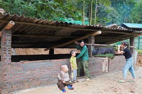 Build farm life, complete pig barn, farm life, survival alone