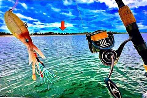 Fishing this *NEW* SQUID JIG! in the BAY for LUNCH! [Catch, Clean, Cook]