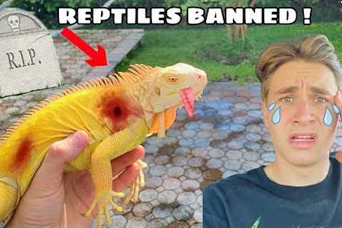 ALL REPTILES BANNED IN FL ?! WHAT NOW ??