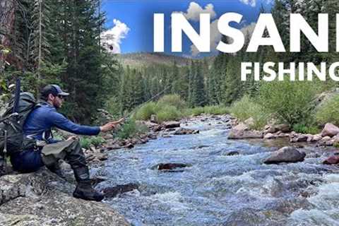 I Found the REAL Dream Stream! (Tenkara Fly Fishing)