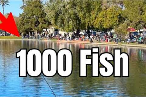 The Reality of Fishing a Trout Derby... (750lbs)