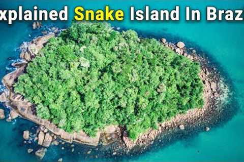 The Forbidden Snake Island In Brazil. You Should Not Go This Snakes Island.