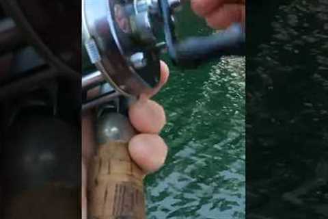 The Laziest Way To Catch Fish! #jesus #fishing #lake #boat #outdoors #appalachianmountains