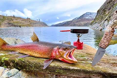 BIG Trout Catch &amp; Cook!!! SOLO Fishing a SECRET COVE!