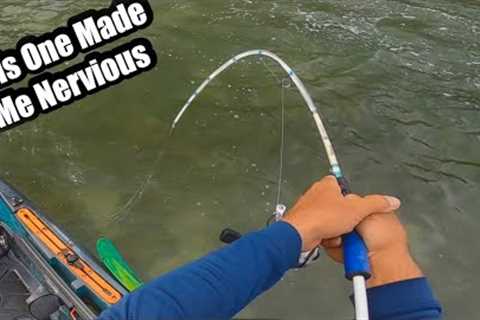 Fish Are Going Crazy Over This Lure (Saltwater Fishing)