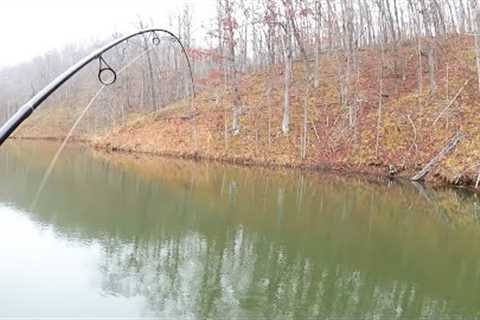 First Time Fishing a NEW LAKE!!! What Fish Can I Catch? (Early Spring)