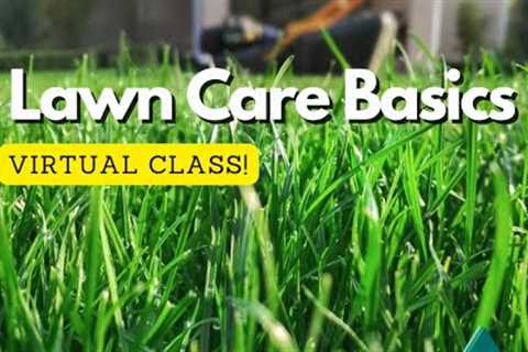 Lawn Care Basics for North Texas