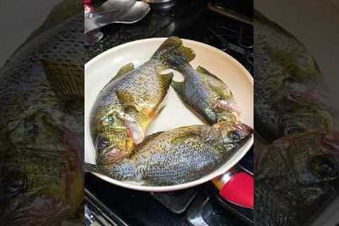 Catching Fish for Family Dinner