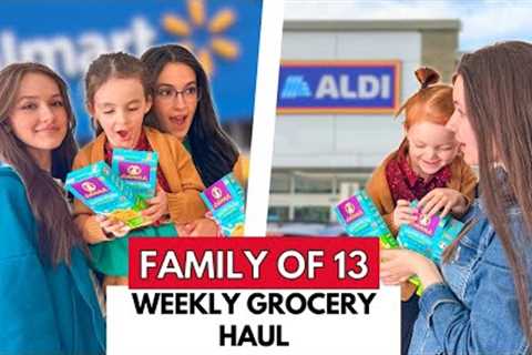 Grocery Shopping For 11 Kids: Can we Make WALMART Work?