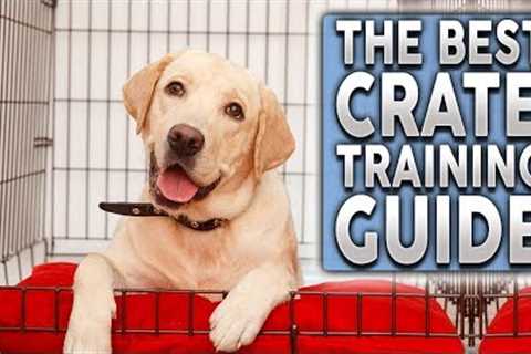 The ULTIMATE Crate Training Guide For Your New Dog or Puppy!