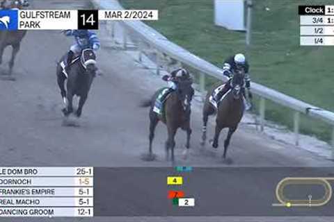 Dornoch Wins The 2024 Fountain of Youth Stakes At Gulfstream Park. Full Race 14 Sat. Mar. 2, 2024