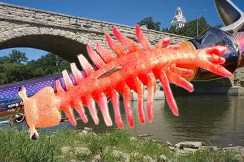 Bouncing My Sea Monkey Below a 200 Year Old Dam