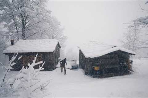 #102 Winter has returned, and so have the Wolves
