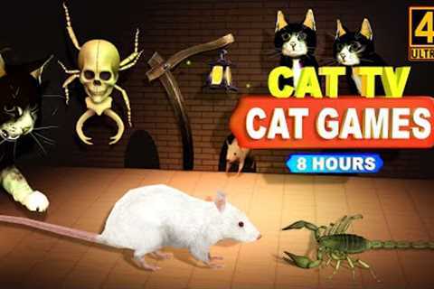 CAT GAMES - CATCHING MICE! ENTERTAINMENT VIDEOS FOR CATS TO WATCH | CAT &amp; DOG TV