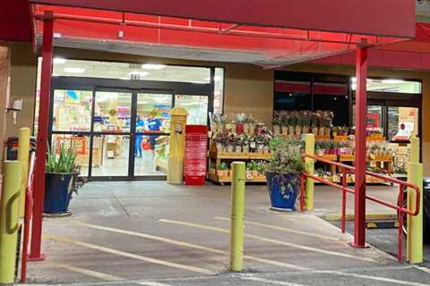 Healthy Trader Joe’s Shopping List