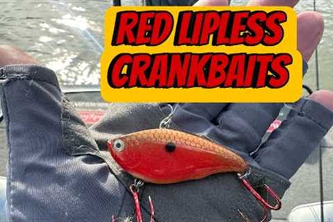 When And Where To Fish Red Lipless Crankbaits…(On The Water Demo)