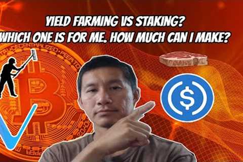 Yield farming vs Staking. Which one is for me? Which one makes more?