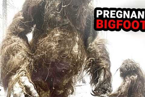 New Trail Cam Evidence: A Call for Skeptics to View