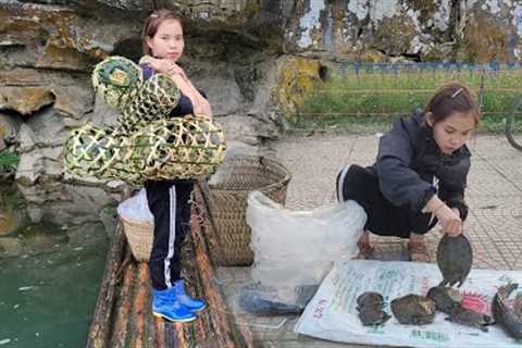 Primitive trap setting skills. Catch turtles and fish to sell. Daily life of a young mother