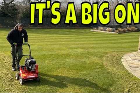 Here's A LAWN Job You Can Do EARLY, But NO SEEDING!