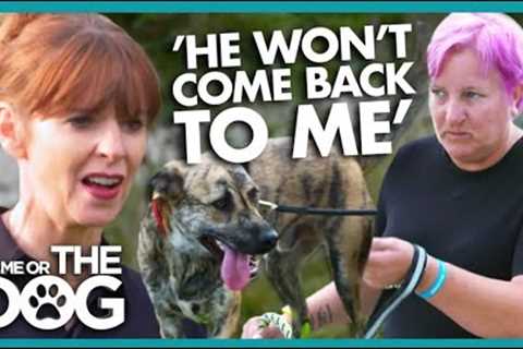 Victoria Shocked by 'Dangerous' Walks😱  | It's Me or The Dog