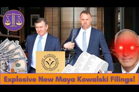 Maya Files for Bar Sanctions | Take Care of Maya | Attorney React