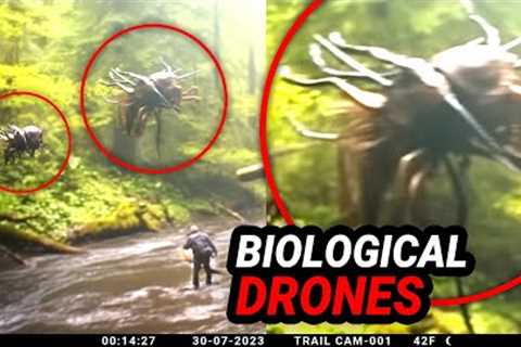 Alarming Trail Cam Footage: Disbelieved and Kept Secret